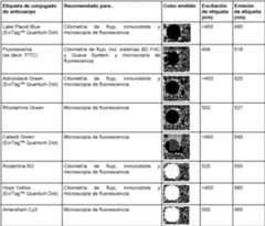 Figure imgf000034_0001