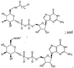 Figure imgf000040_0001