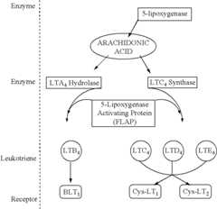 Figure US07250518-20070731-C00053
