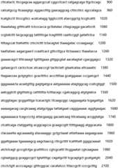 Figure IDA0003468176770000081