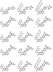 Figure FDA0004057291440000031