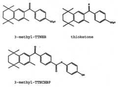 Figure imgf000016_0001