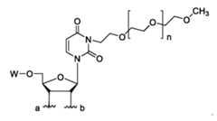 Figure imgf000250_0001