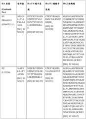 Figure BDA0004089703340001291