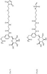 Figure imgf000126_0001