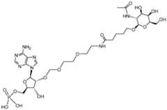 Figure imgf000009_0001