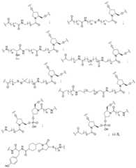 Figure BDA0003357312860001001