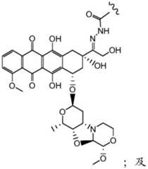 Figure BDA0001241706110000102