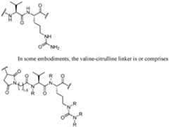 Figure imgf000109_0003
