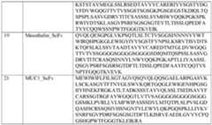 Figure imgf000058_0001