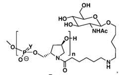 Figure imgf000092_0001