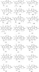 Figure imgf000004_0002