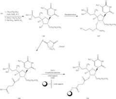 Figure US08883752-20141111-C00069