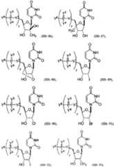 Figure imgf000040_0001