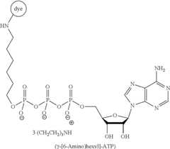 Figure US12000835-20240604-C00001
