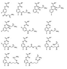 Figure JPOXMLDOC01-appb-C000022