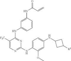 Figure US09409887-20160809-C00024
