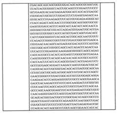 Figure 0007438604000026