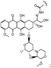 Figure FDA0003021893850000072