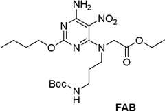 Figure BDA0000075082050002171