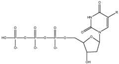 Figure imgf000021_0002