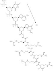 Figure US10888578-20210112-C00104