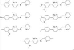 Figure BDA00003363594800601