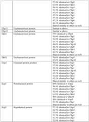 Figure imgf000058_0001