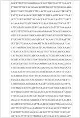 Figure GDA0002731146240002331