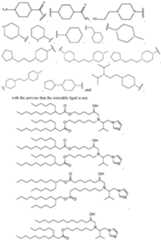 Figure imgf000008_0001