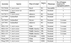 Figure imgf000044_0001