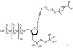 Figure BDA0003670511740001862