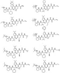 Figure imgf000315_0001