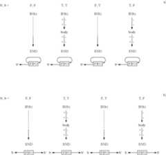 Figure US07043415-20060509-C00007
