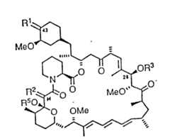 Figure 931165571_IMG2