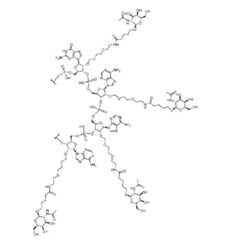 Figure imgf000010_0001