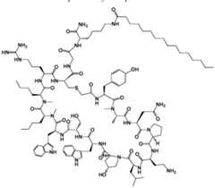 Figure imgf000170_0001