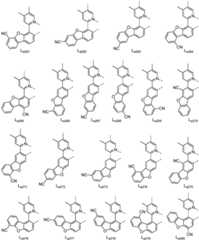 Figure FDA0001964607630000201