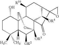 Figure US07351739-20080401-C00011