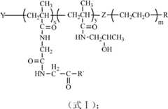 Figure FDA0000116570800000011