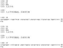 Figure IDA0000158539800000061