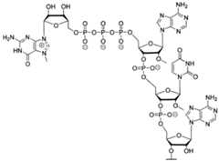 Figure imgf000099_0001