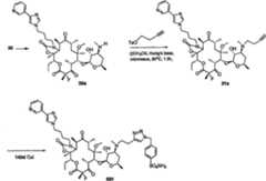 Figure A20058001353203302