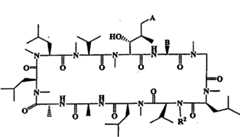 Figure FPA00001287625300101