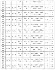 Figure 0007646616000103