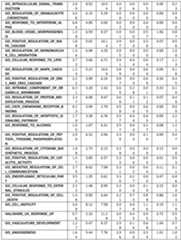 Figure imgf000262_0001