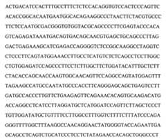 Figure 104109152-A0202-12-0090-22