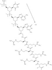 Figure US10888578-20210112-C00096