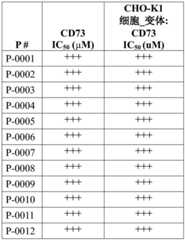 Figure BDA0004010263230001832