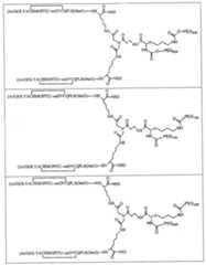 Figure 112005065158015-pct00036